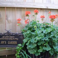 Photo Thumbnail #6: Garden sign that people seem to love in my...