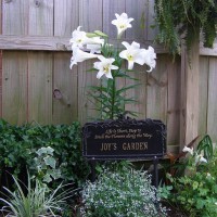 Photo Thumbnail #1: Welcome ~ This area is near my patio so I like...