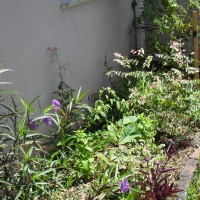 Photo Thumbnail #10: other side bed...cottage garden look.