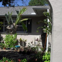 Photo Thumbnail #4: Looking into the courtyard.