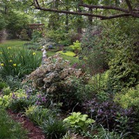 Photo Thumbnail #9: South side view of front garden