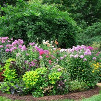 Photo Thumbnail #28: arbor garden