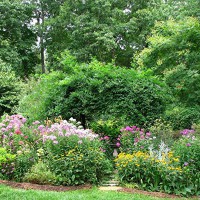 Photo Thumbnail #29: Straight on view of arbor garden