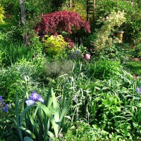 Photo Thumbnail #1: Spring garden