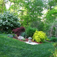 Photo Thumbnail #2: Raised garden bed in spring.