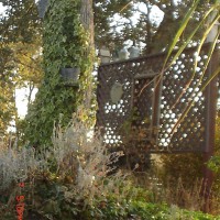 Photo Thumbnail #4: trellis by the road... has metal bird houses.....