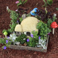 Photo Thumbnail #8: Since I planted it, my fairy house has really...