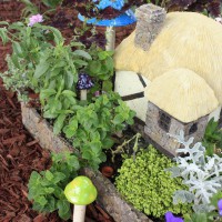 Photo Thumbnail #7: Another view of the fairy house about a month...