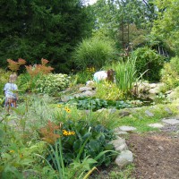 Photo Thumbnail #6: back pond