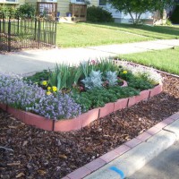 Photo Thumbnail #2: Street Access planters 2011