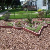 Photo Thumbnail #10: Mid June, the flowers are growing. 