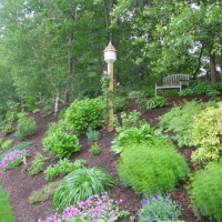 Photo Thumbnail #5: I added the birdhouse to the hill this year and...