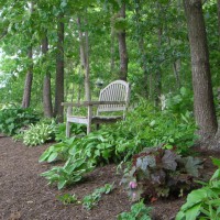 Photo Thumbnail #8: This bench at the top of the hill is still my...