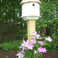 Photo Thumbnail #6: A closer look at the new birdhouse and clematis...