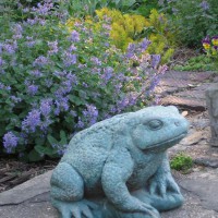 Photo Thumbnail #9: my flea market frog