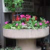 Photo Thumbnail #12: This planter is below our deck and under one of...