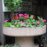 Photo Thumbnail #12: This planter is below our deck and under one of...