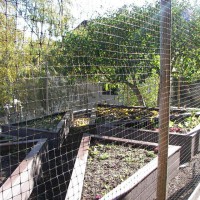 Photo Thumbnail #27: through the deer fencing looking at the...