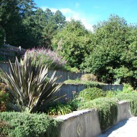 Photo Thumbnail #24: retaining walls along side parking lot with...