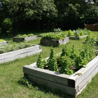 Photo Thumbnail #5: The vegetable beds are one of the newer...