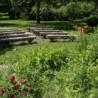 Photo Thumbnail #17: The outdoor classroom, looking down from the...