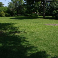 Photo Thumbnail #14: The garden has plenty of open space for...