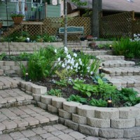 Photo Thumbnail #15: Standing in the shade garden looking up