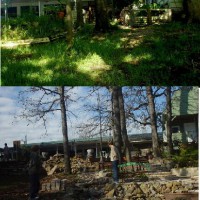 Photo Thumbnail #25: Old-new view of upper bed, upper falls and creek