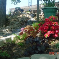 Photo Thumbnail #12: View of upper falls from the shade garden