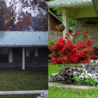 Photo Thumbnail #27: Old-new left side of front yard