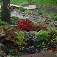 Photo Thumbnail #9: View of south side of shade garden and creek bed