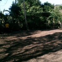 Photo Thumbnail #3: After two months of plowing and digging, the...