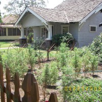 Photo Thumbnail #26: another view of the new plants and flowers...