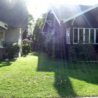 Photo Thumbnail #4: Side yard was just grass