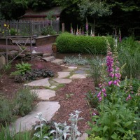 Photo Thumbnail #9: Path through the garden, early spring