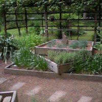 Photo Thumbnail #29: Second stacked herb bed with grape arbor in...