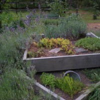 Photo Thumbnail #22: Stacked herb beds