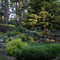 Photo Thumbnail #15: Backyard on an early spring evening