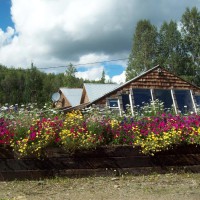 Landscaping Ideas > Fox Gardens ALASKA | YardShare.com