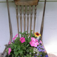 Photo Thumbnail #13: antique chair with an array of annuals &...