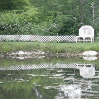 Photo Thumbnail #20: reflection from our pond that I have started to...