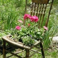 Photo Thumbnail #22: my old antique chair, see pic #13