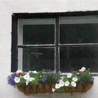 Photo Thumbnail #19: A window box on the front of my house- white...