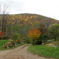 Photo Thumbnail #2: Late November in the Endless Mt.s of PA. My...