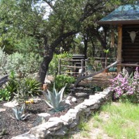 Photo Thumbnail #17: Cactus garden.