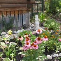 Photo Thumbnail #18: My herb garden.