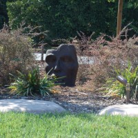 Photo Thumbnail #12: We found this great face at a garden shop in...