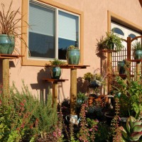 Photo Thumbnail #19: 2010 - The succulent garden has come a long...