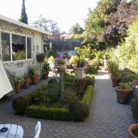 Photo Thumbnail #6: 1/2 back yard Italian garden area, with formal...