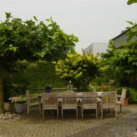 Photo Thumbnail #3: Chair and table under Platanus acerifolia 